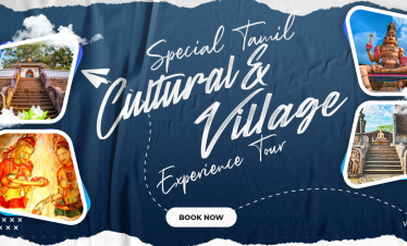 Traveler Type: 1 Person (Single Room) Accommodation: Budget Hotels (3★ Equivalent, Single Room) Meal Plan: Breakfast & Dinner (Half Board) Transport: Private A/C Car with English/Tamil-speaking driver